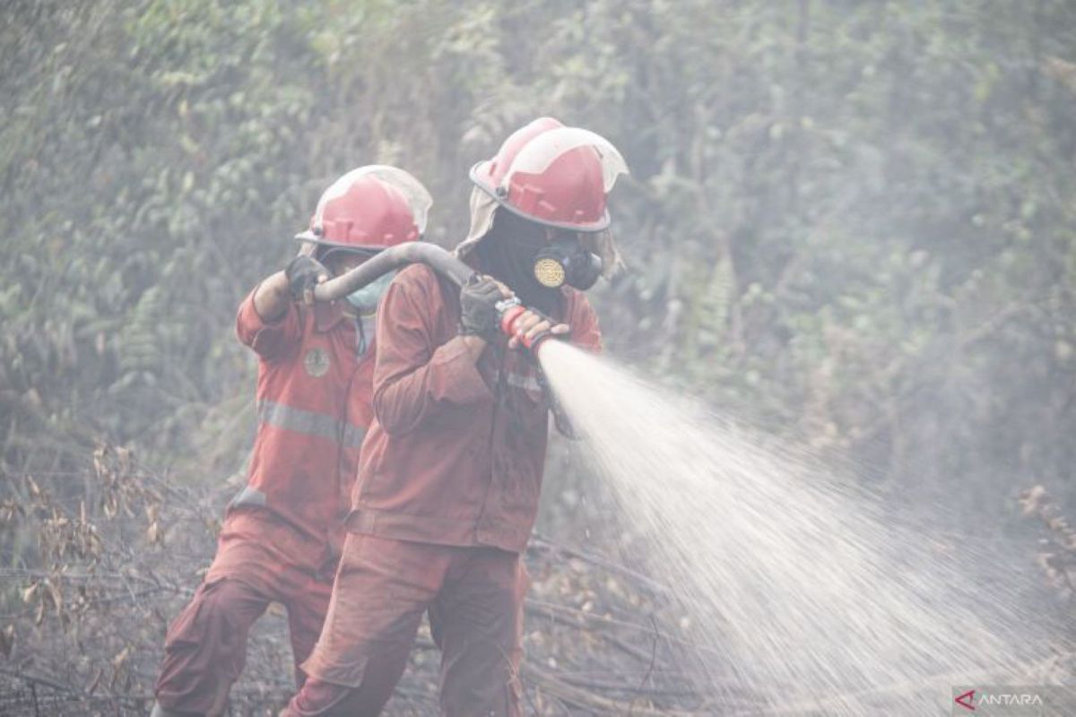 BPBD Sumsel mulai bersiap hadapi karhutla, prioritas pada empat daerah