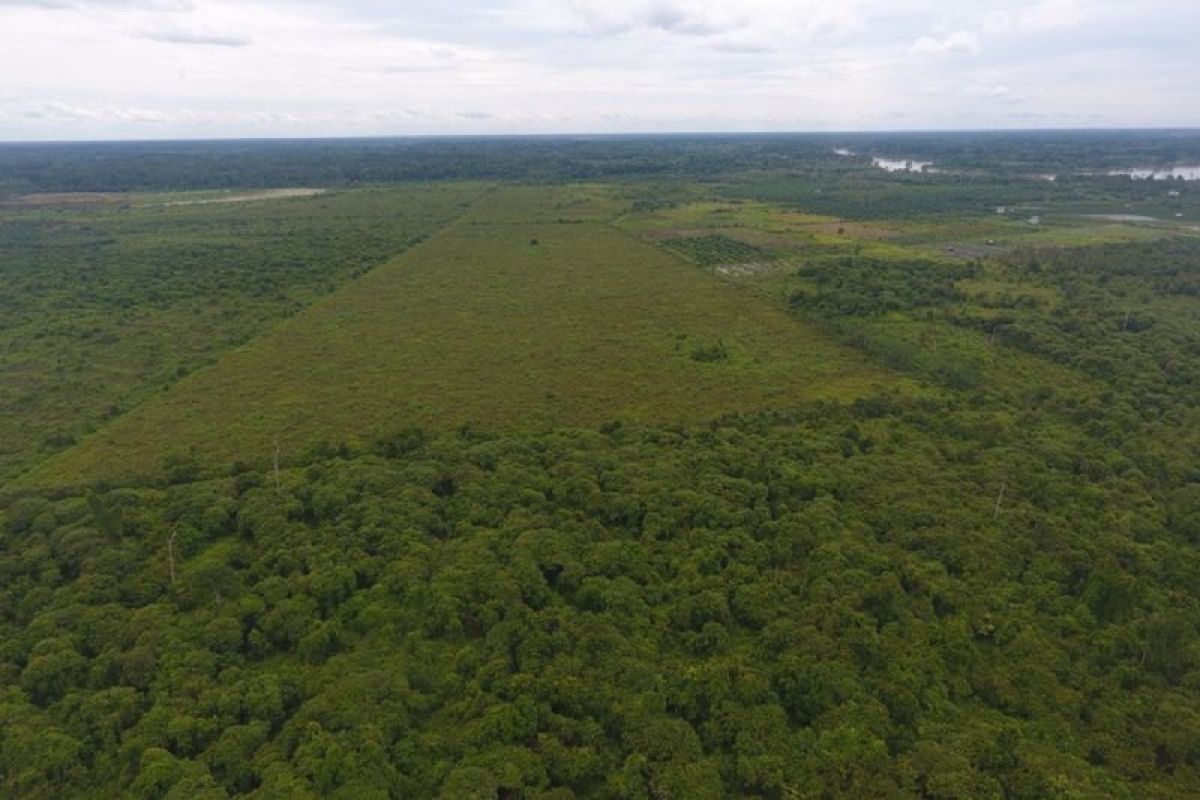 UMPR optimalkan hutan pendidikan jadi laboratorium alam