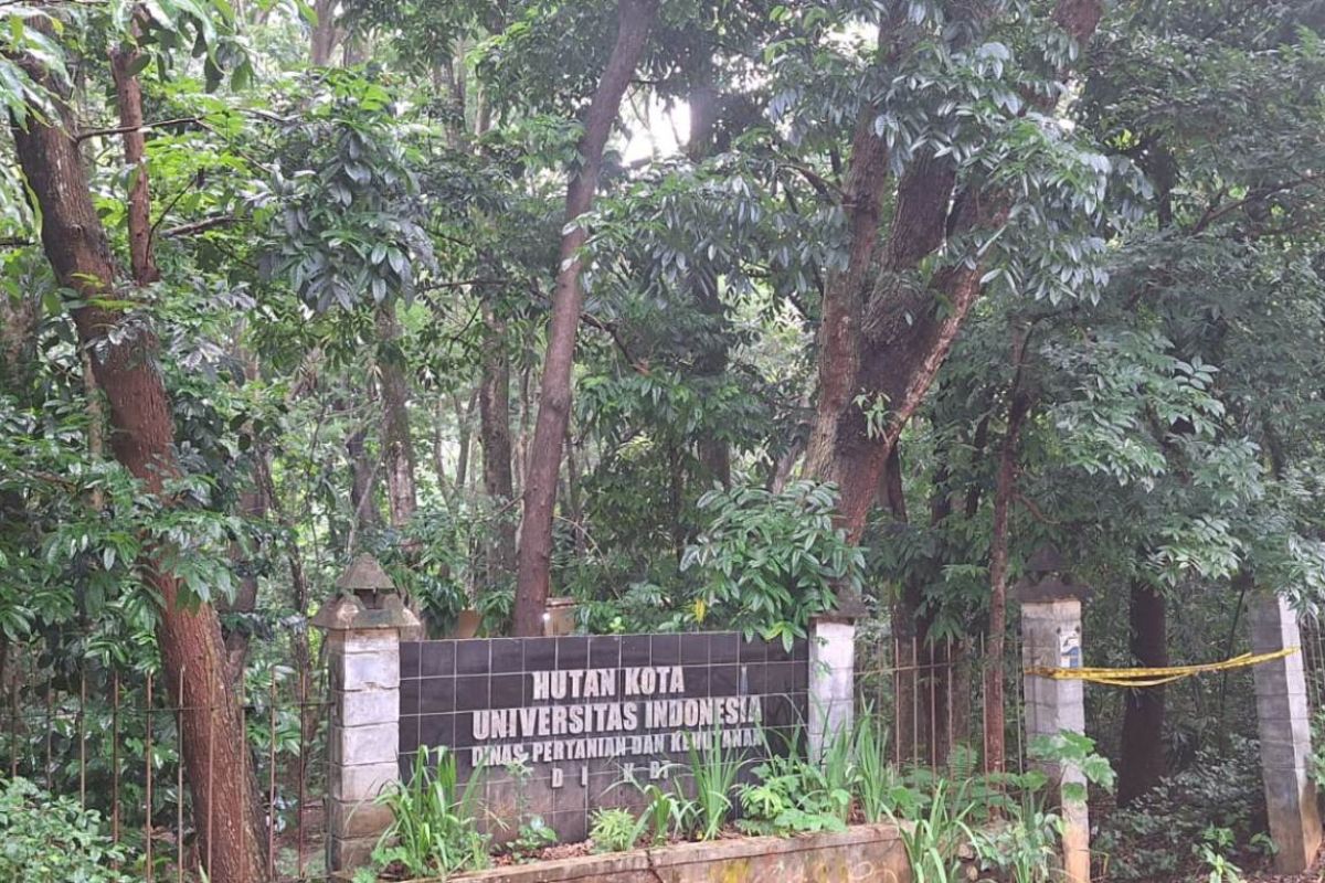 Hutan Kota UI, lebih dari sekadar menghijaukan kawasan