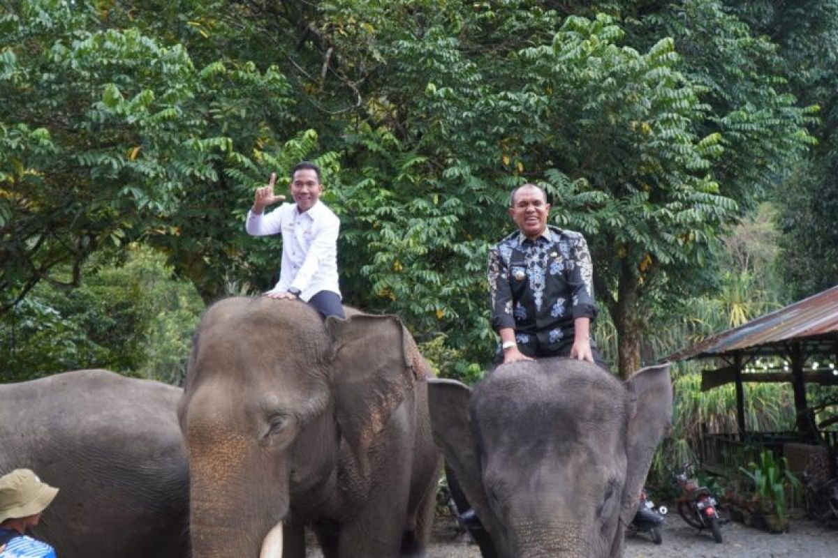 Pj Bupati Langkat lihat pelayanan di kawasan ekowisata Tangkahan terhadap turis