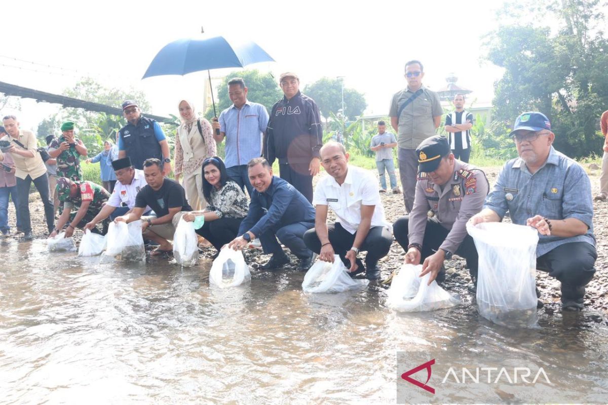 Sungai Batang Angkola Tapsel ditaburi ratusan ribu benih ikan nila