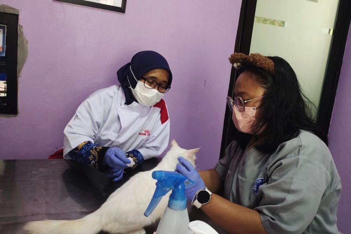 UPTD Kesehatan Hewan Lampung menyediakan 1.500 dosis vaksin rabies