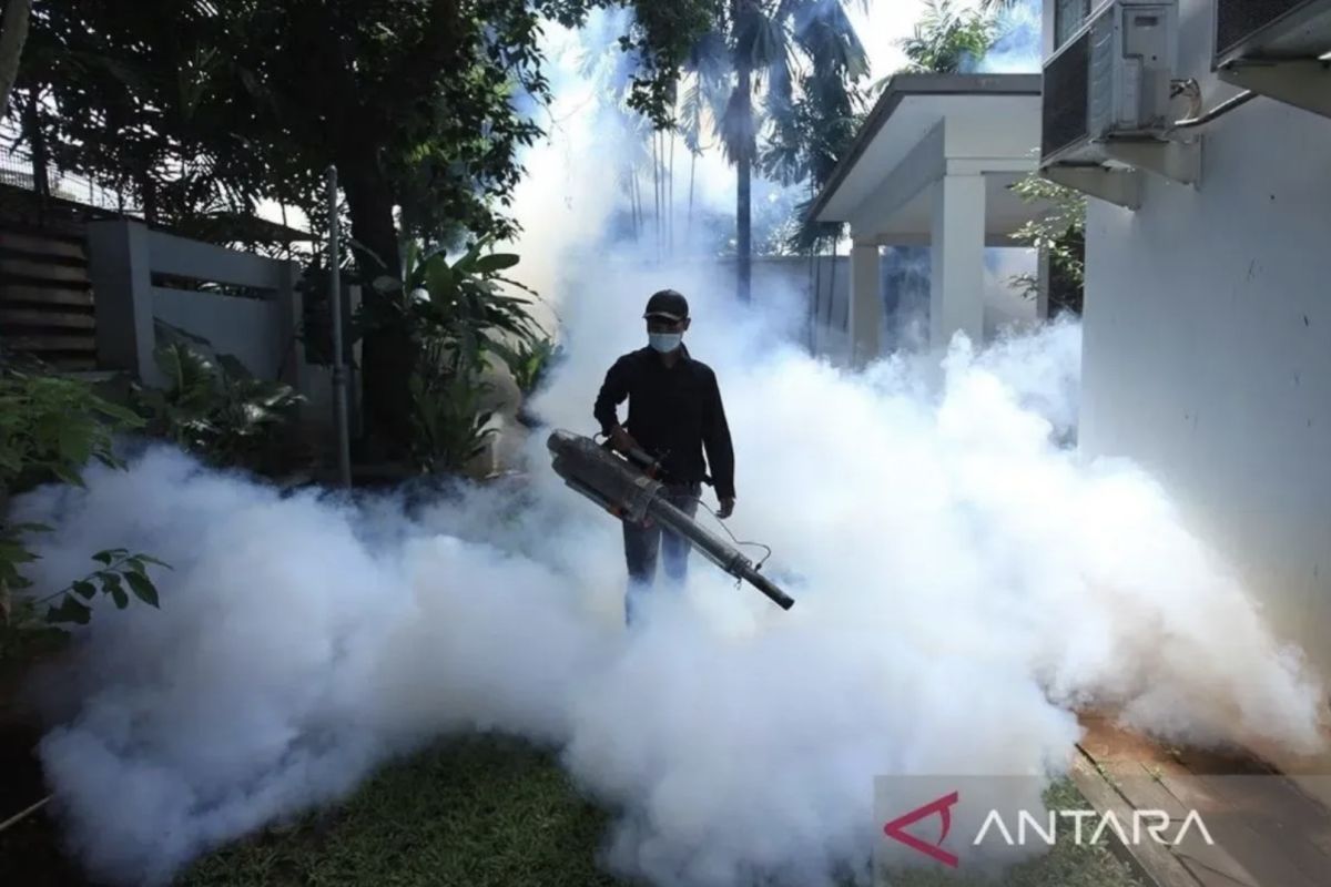 Kemenkes sebut kasus dengue meningkat dua kali lipat