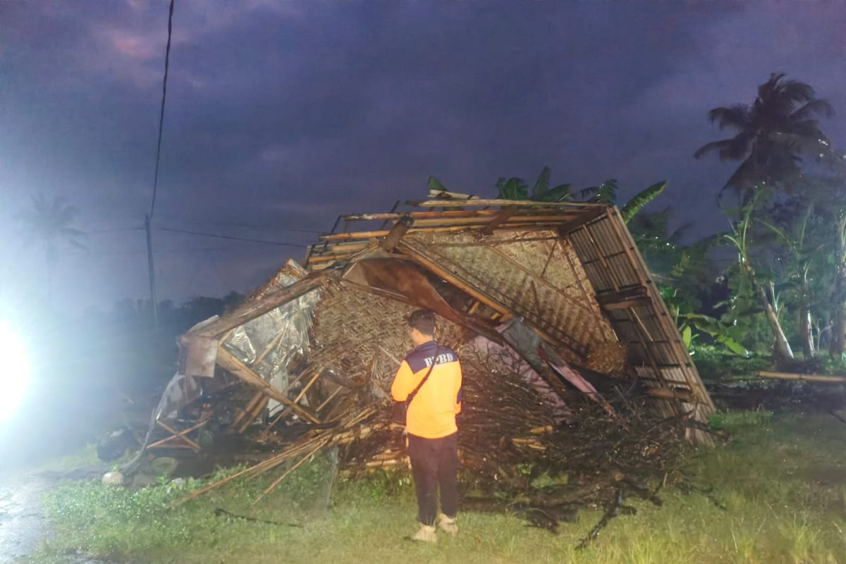 Pohon tumbang akibat hujan deras timpa empat rumah warga Jember