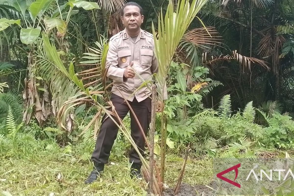 Polisi Jayapura prioritas nikah dinas tanam sagu jaga lingkungan