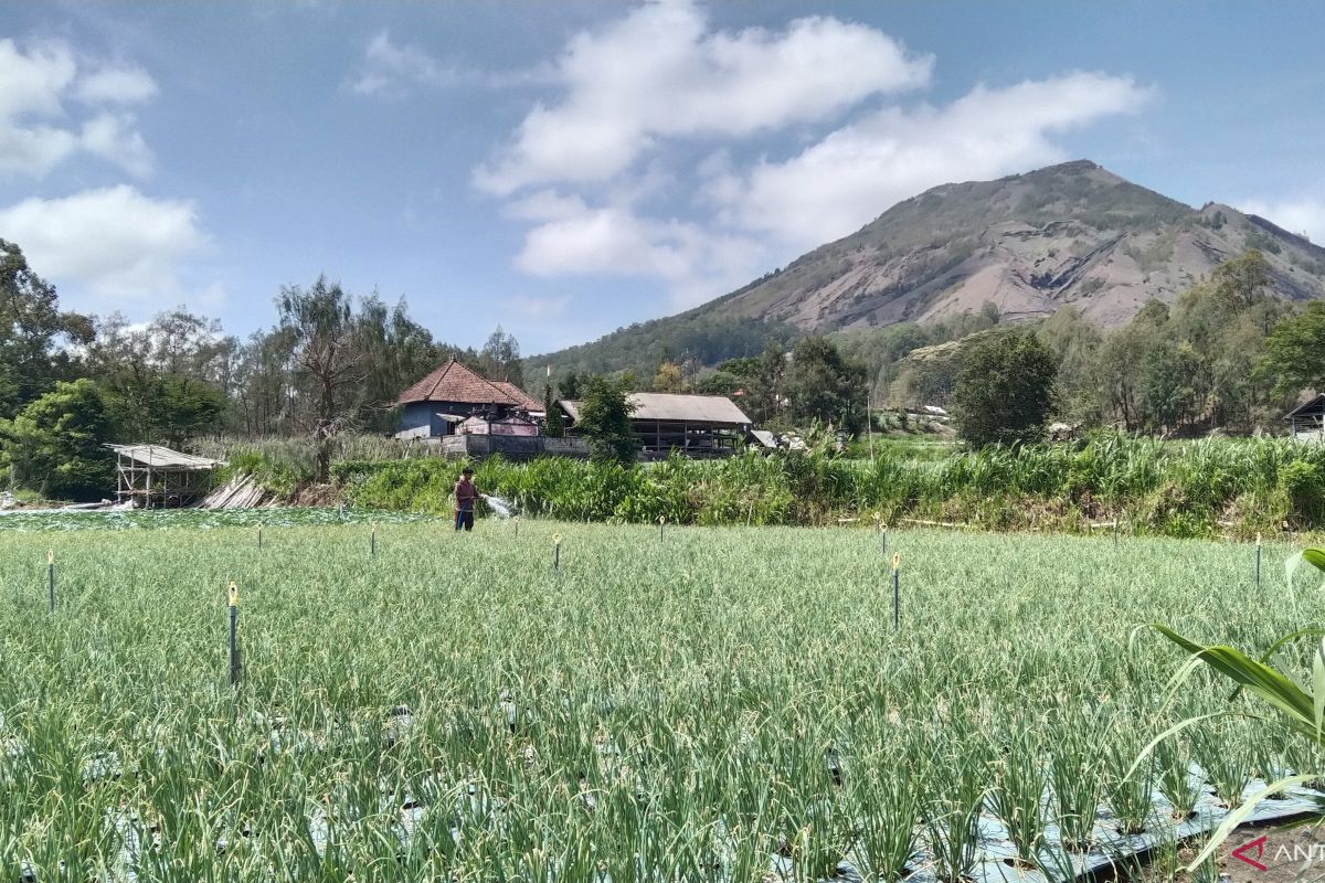 BBMKG Denpasar minta warga waspadai potensi hama tanaman saat kemarau basah