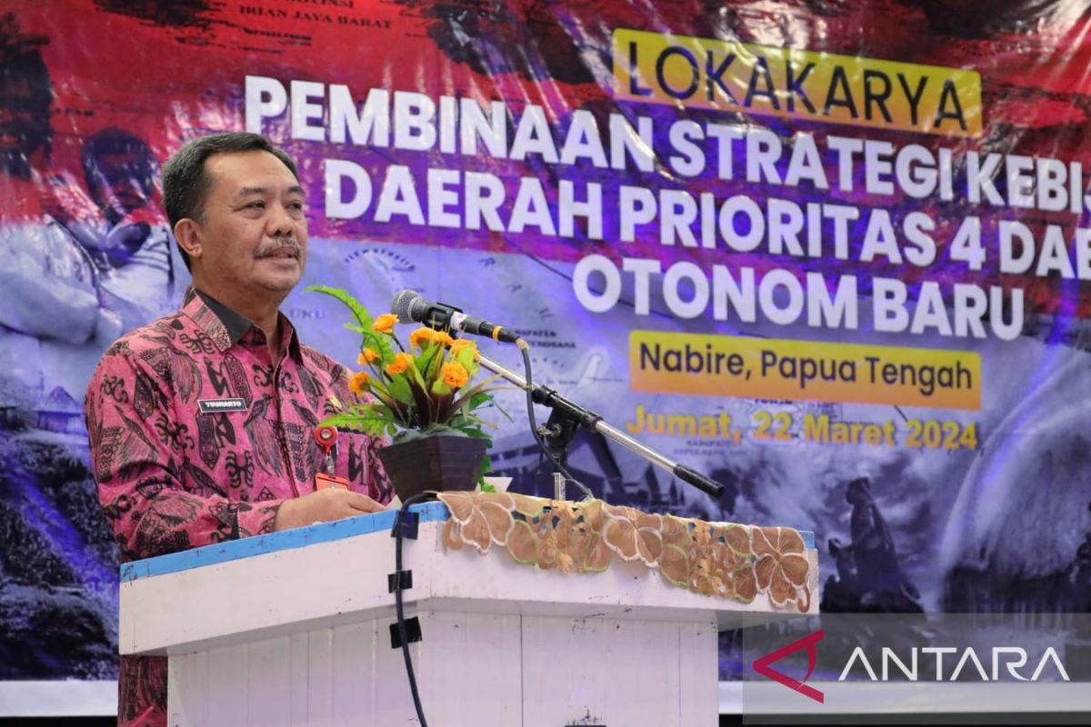 Kepala BSKDN Kemendagri beberkan isu strategis di empat DOB Papua