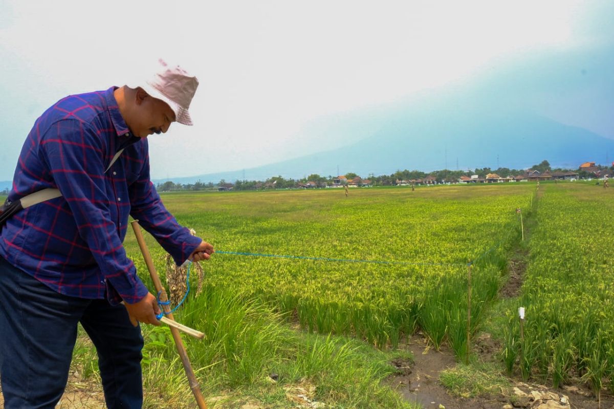 WPI siapkan kemitraan dengan petani di Jawa Tengah
