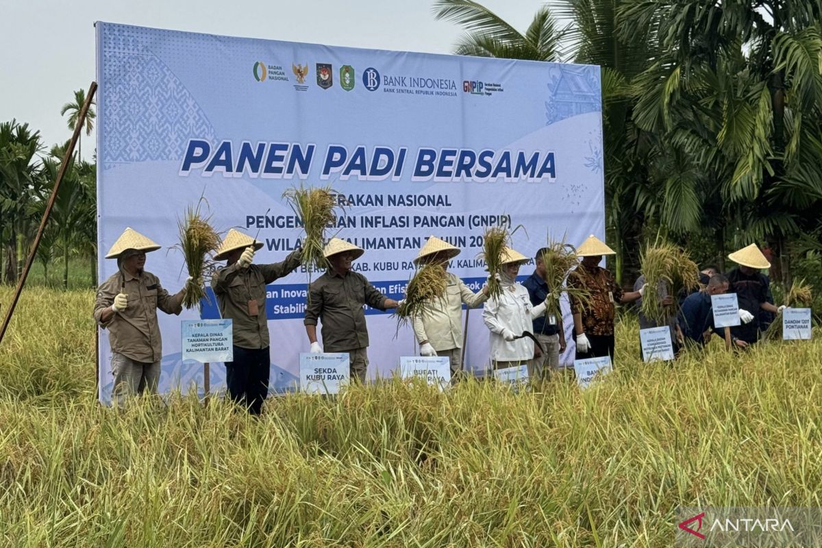 BI Kalbar melalui GNPIP dampingi petani menjaga ketersediaan beras