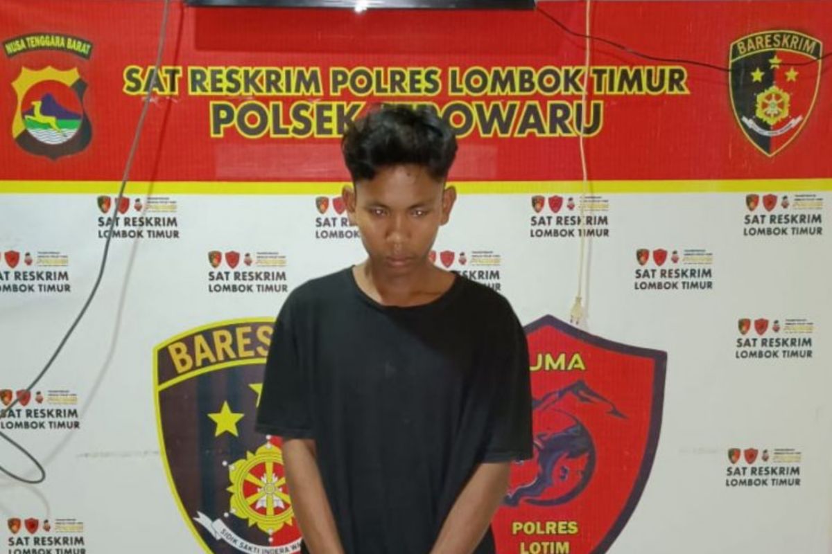 Curi ponsel tetangga, seorang pemuda di Lombok Timur ditangkap polisi