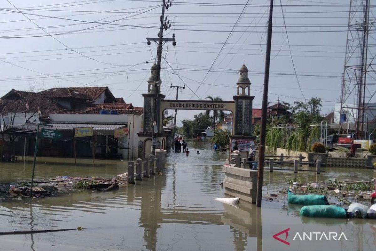 Warga Demak mulai pulang ke rumahnya setelah banjir mulai surut