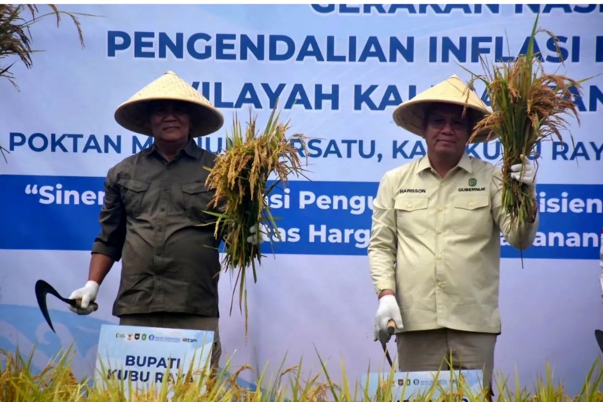 Pemkab Kubu Raya Kalbar panen raya padi seluas 150 hektare