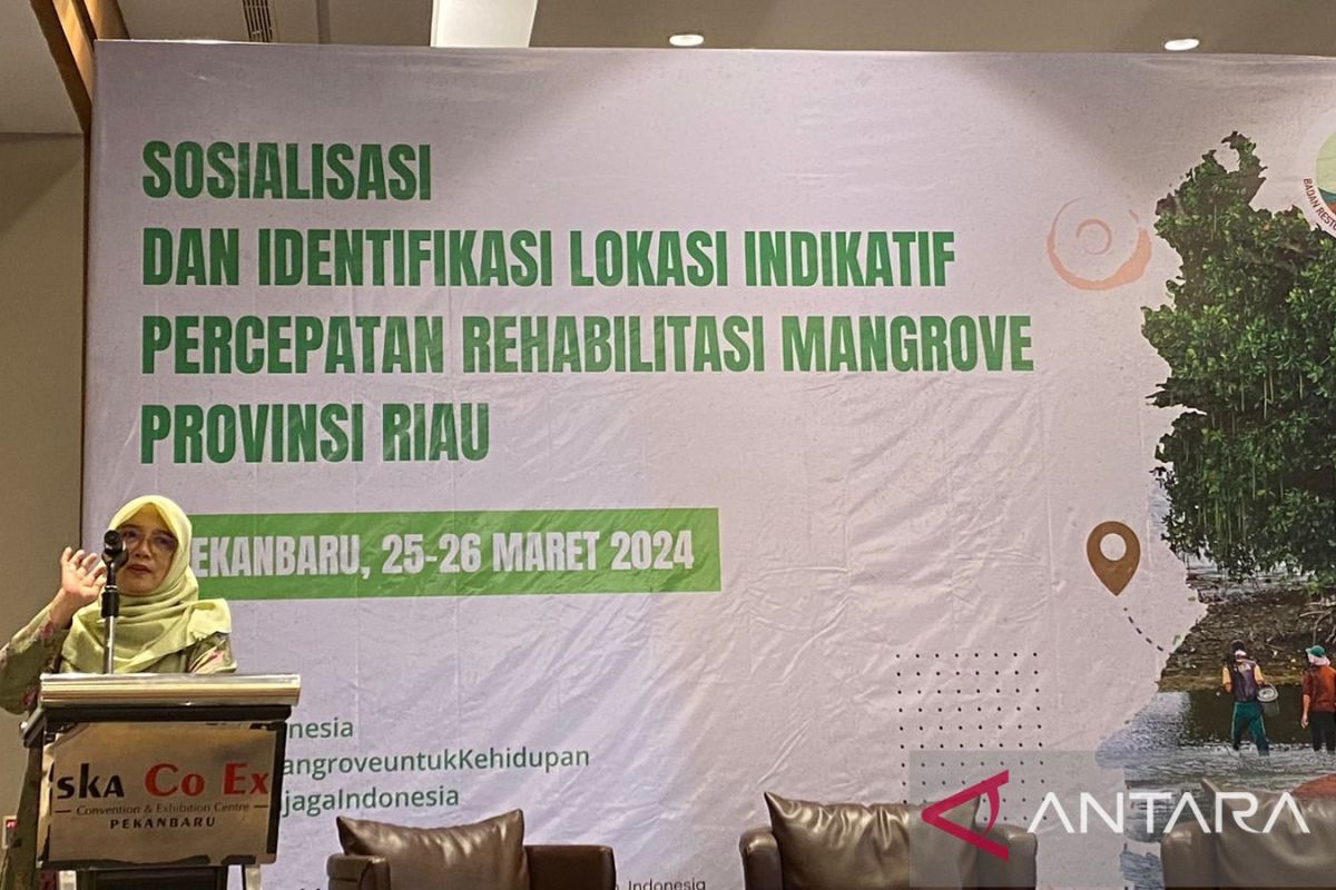 BRGM targetkan rehabilitasi 7500 hektare gambut di Riau