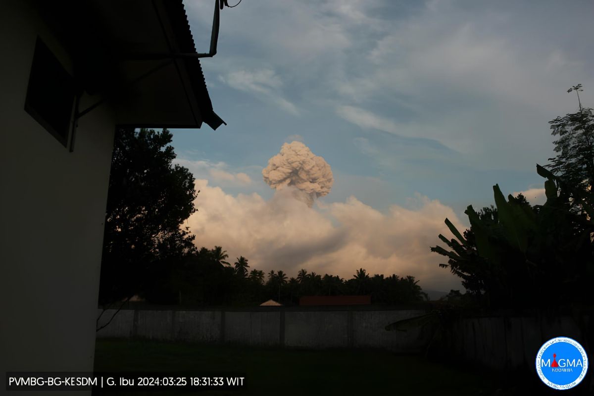 Gunung Ibu erupsi lontarkan abu vulkanik setinggi 2,5 kilometer