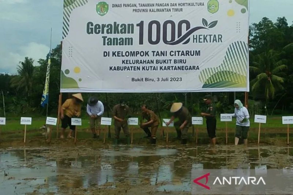 Pemkab Kukar alokasikan Rp17 miliar untuk irigasi