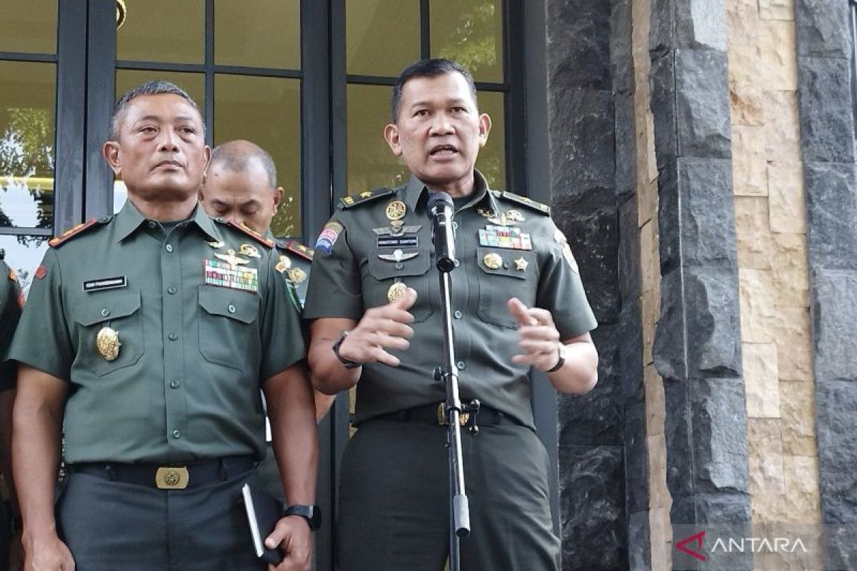 TNI AD minta maaf atas tindak kekerasan di Papua