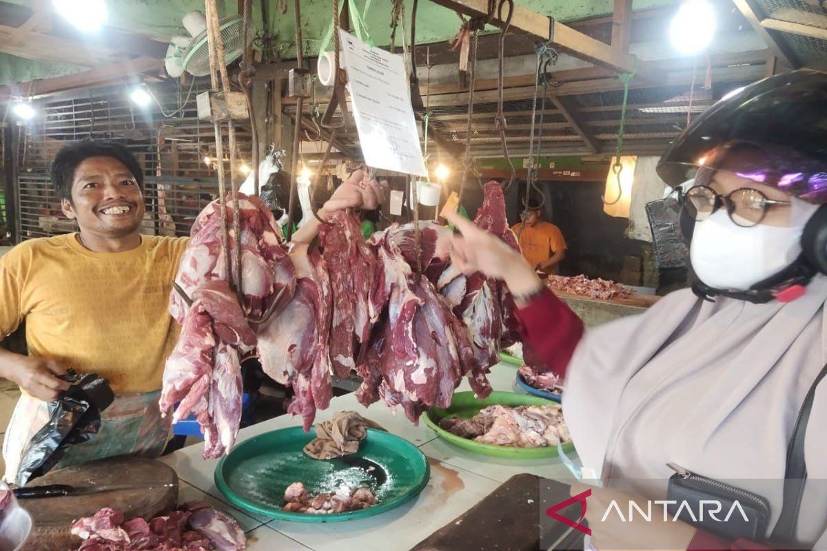 Ketersediaan daging sapi di Palangka Raya aman sampai Idul Fitri