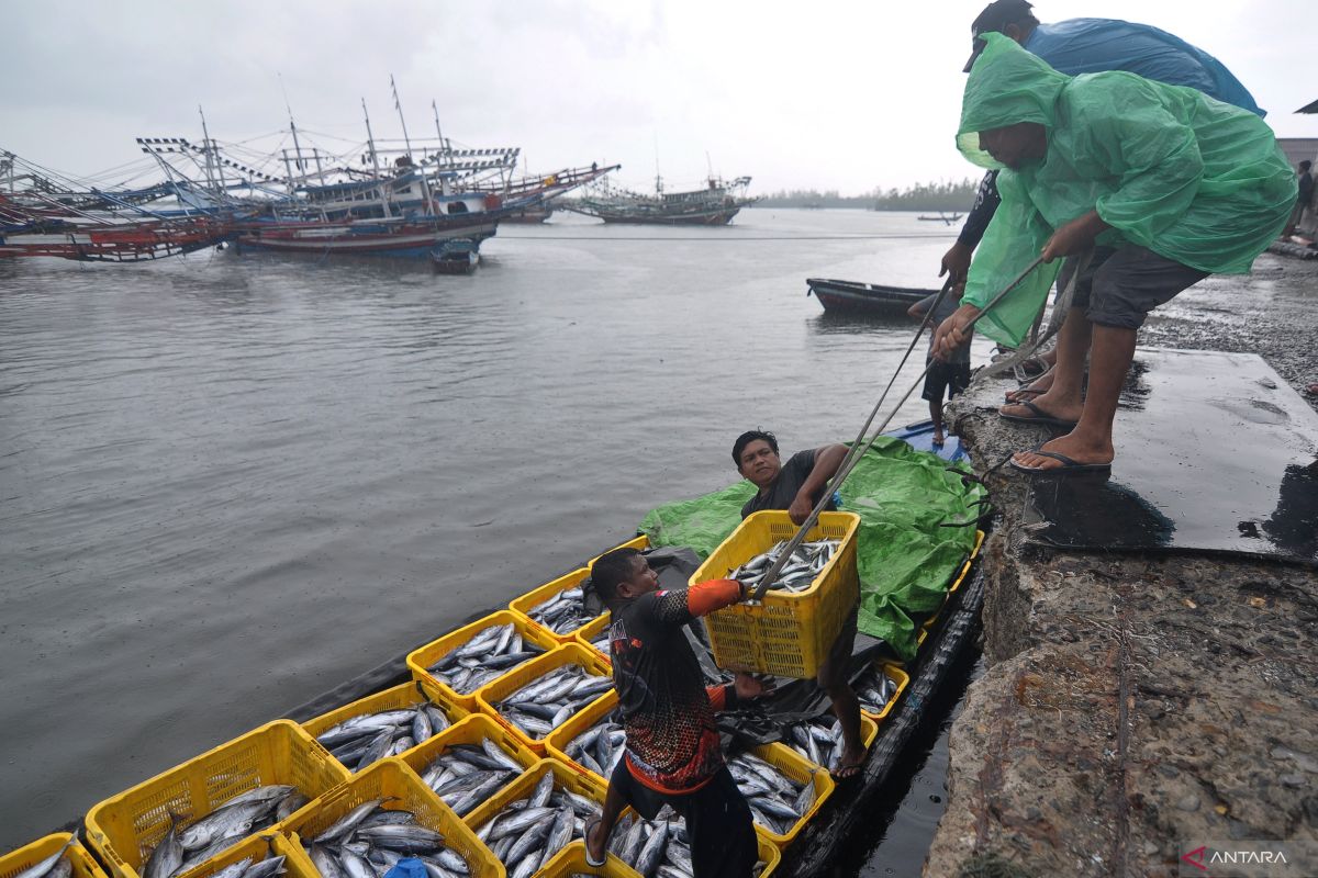 HNSI harap kesejahteraan nelayan ditingkatkan lewat ekosistem industri