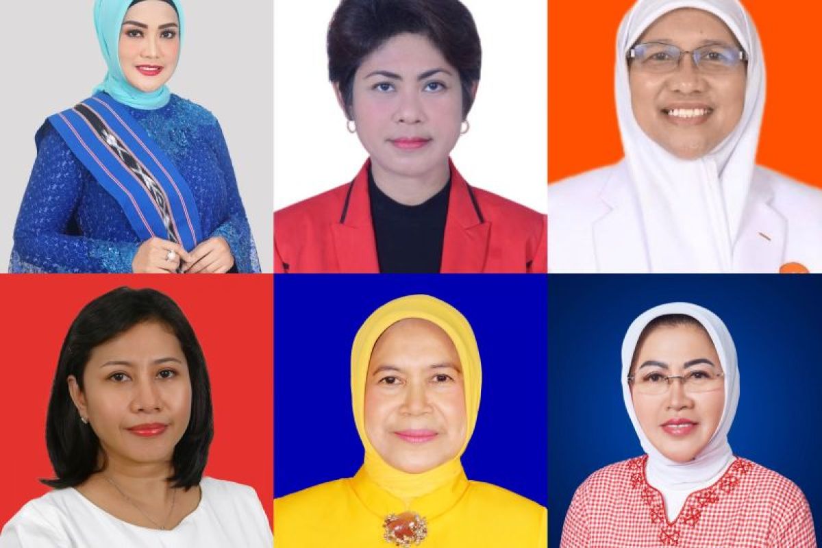 Perempuan-perempuan  Maluku dalam Pemilu 2024