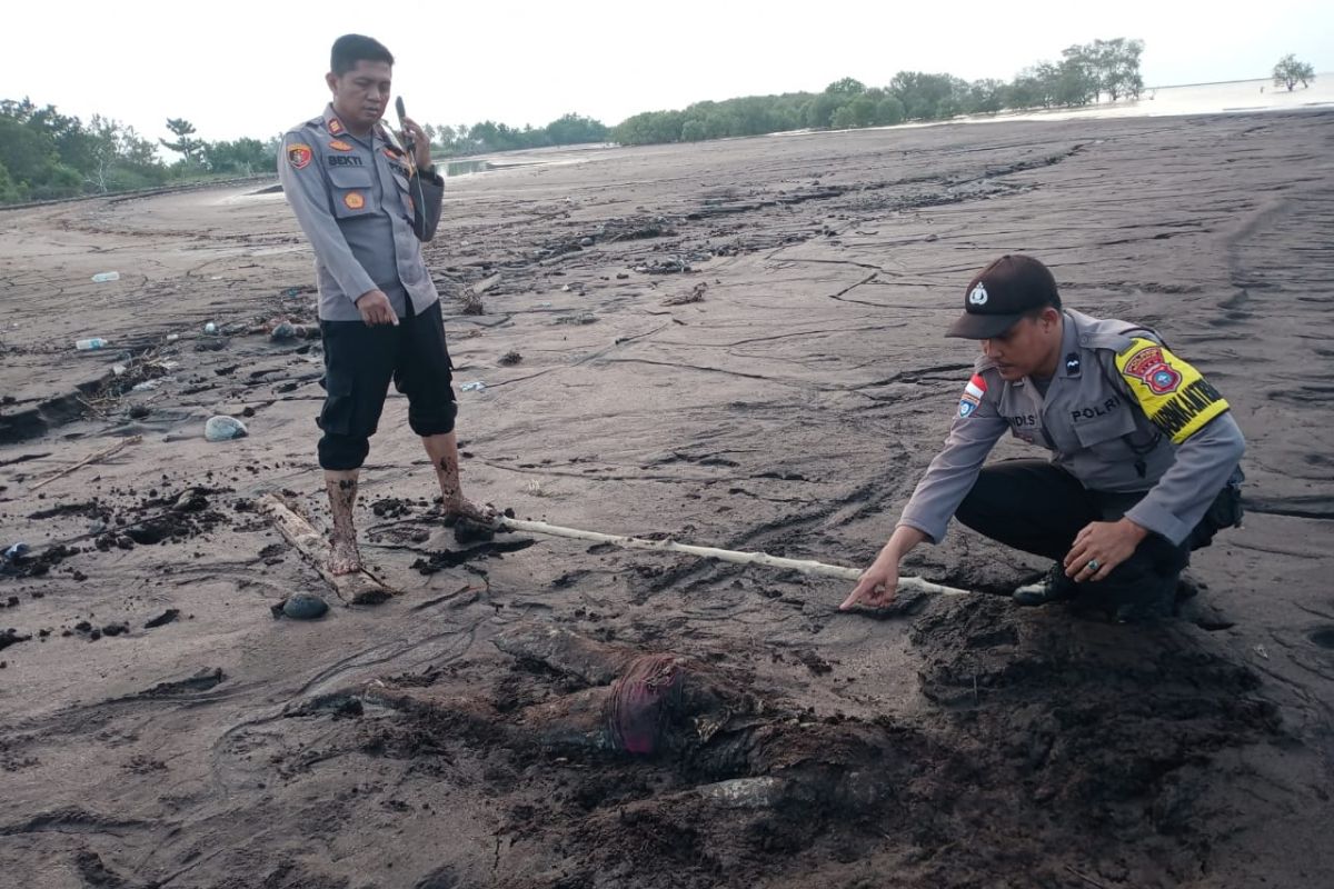 Warga temukan mayat tak dikenal di pantai Teluk Papal Bengkalis