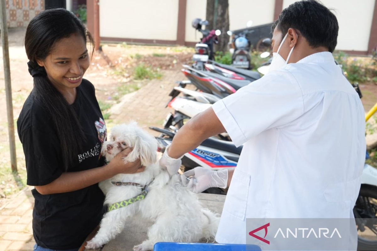 Seorang warga Kampung Cileutik diduga diserang anjing rabies