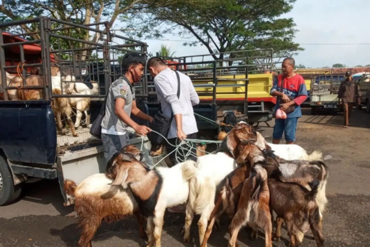 Dinkes Gunungkidul memastikan tiga warga positif antraks sudah membaik