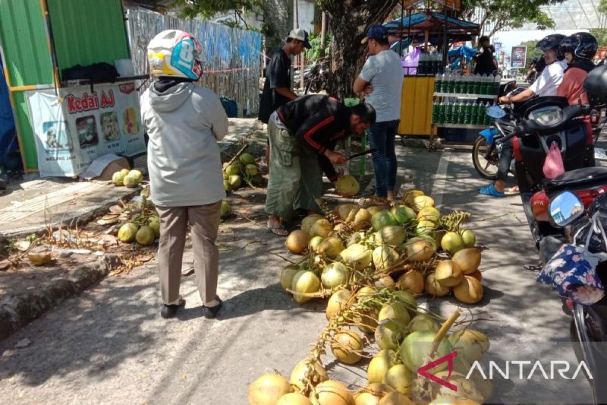 Pedagang kelapa muda di Ambon panen rezeki saat Ramadhan