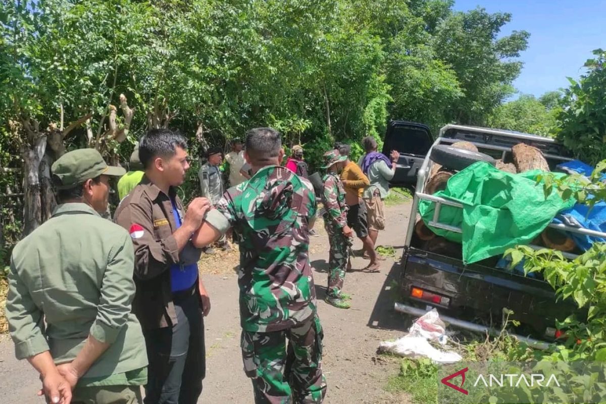 TNI dan Polhut gagalkan pembalakan liar di Dompu