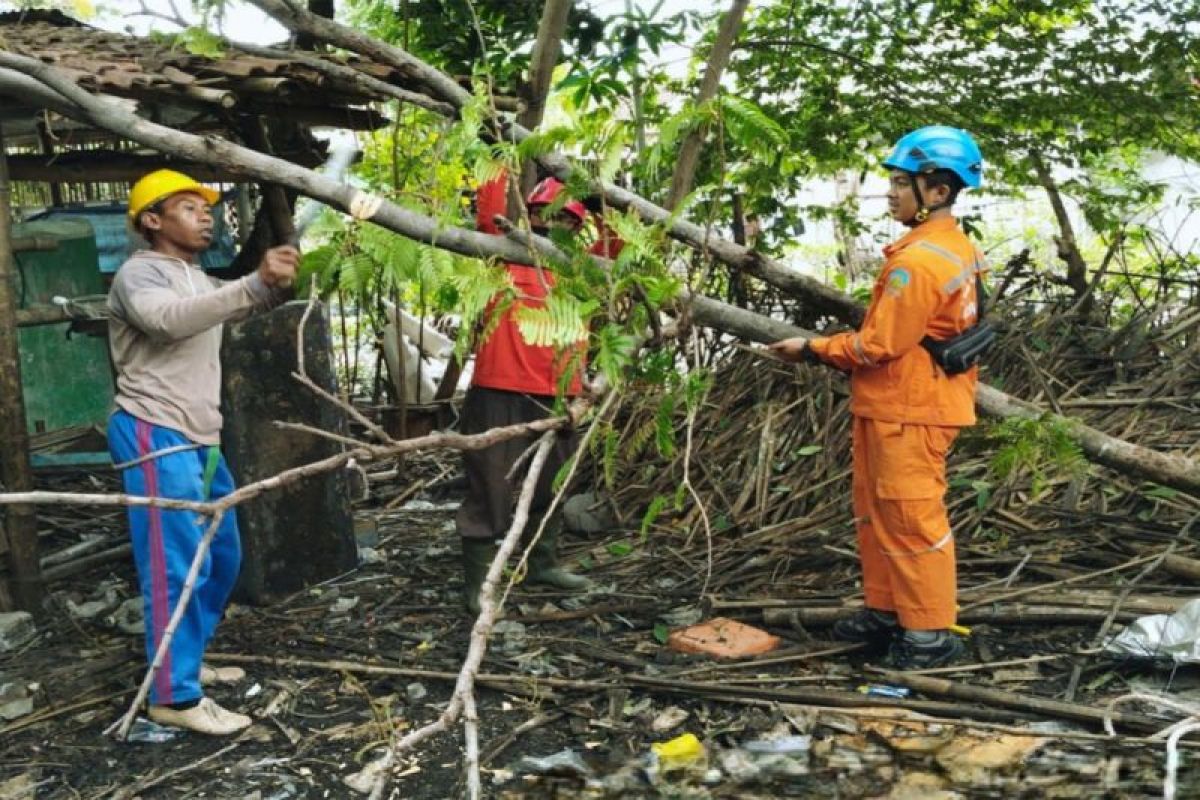 PLN tingkatkan keandalan pasokan listrik melalui Program Zero Row Kritis