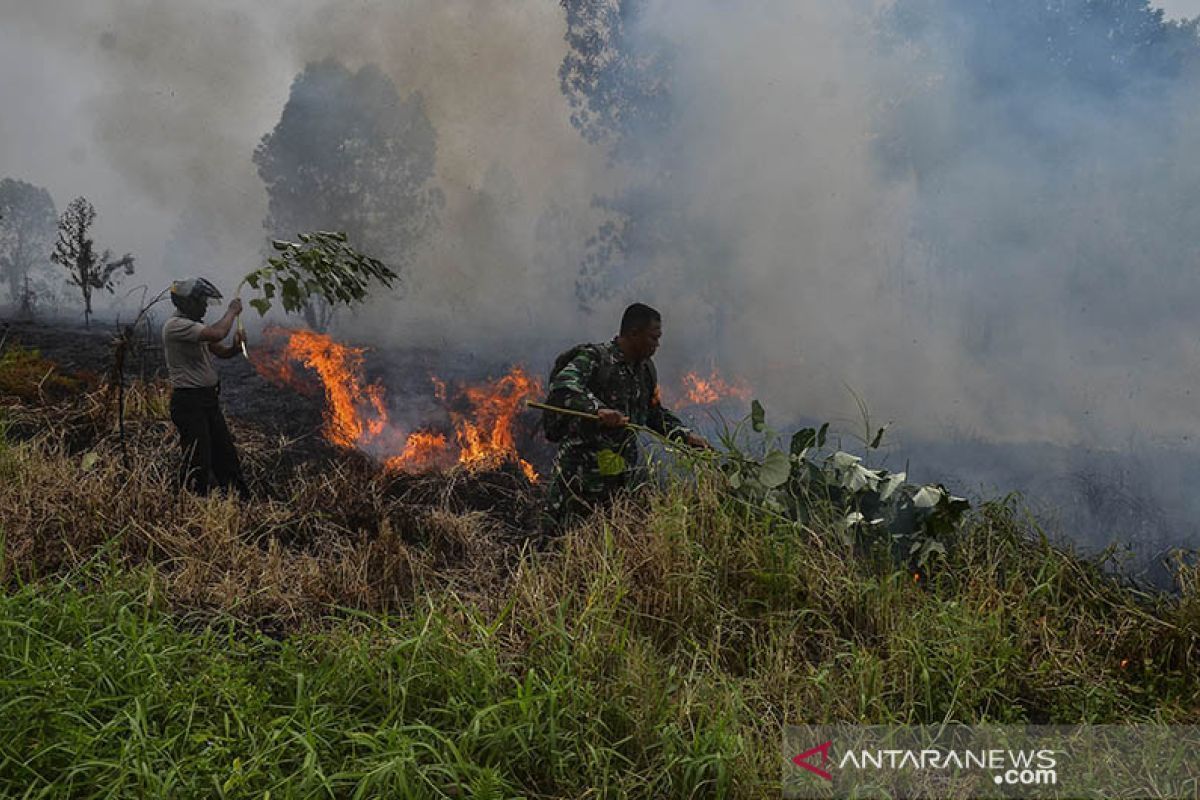 Kabupaten berstatus siaga darurat karhutla Riau bertambah