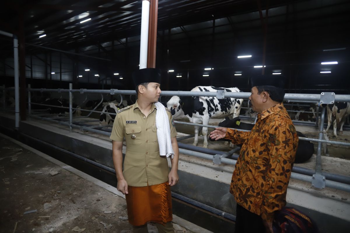 Bupati Trenggalek sebut investasi sapi perah tingkatkan daya saing daerah