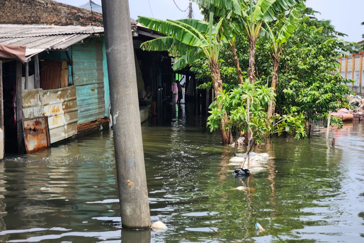 Suku Dinas SDA Jakarta Barat teliti penyebab banjir yang terjadi di Tegal Alur