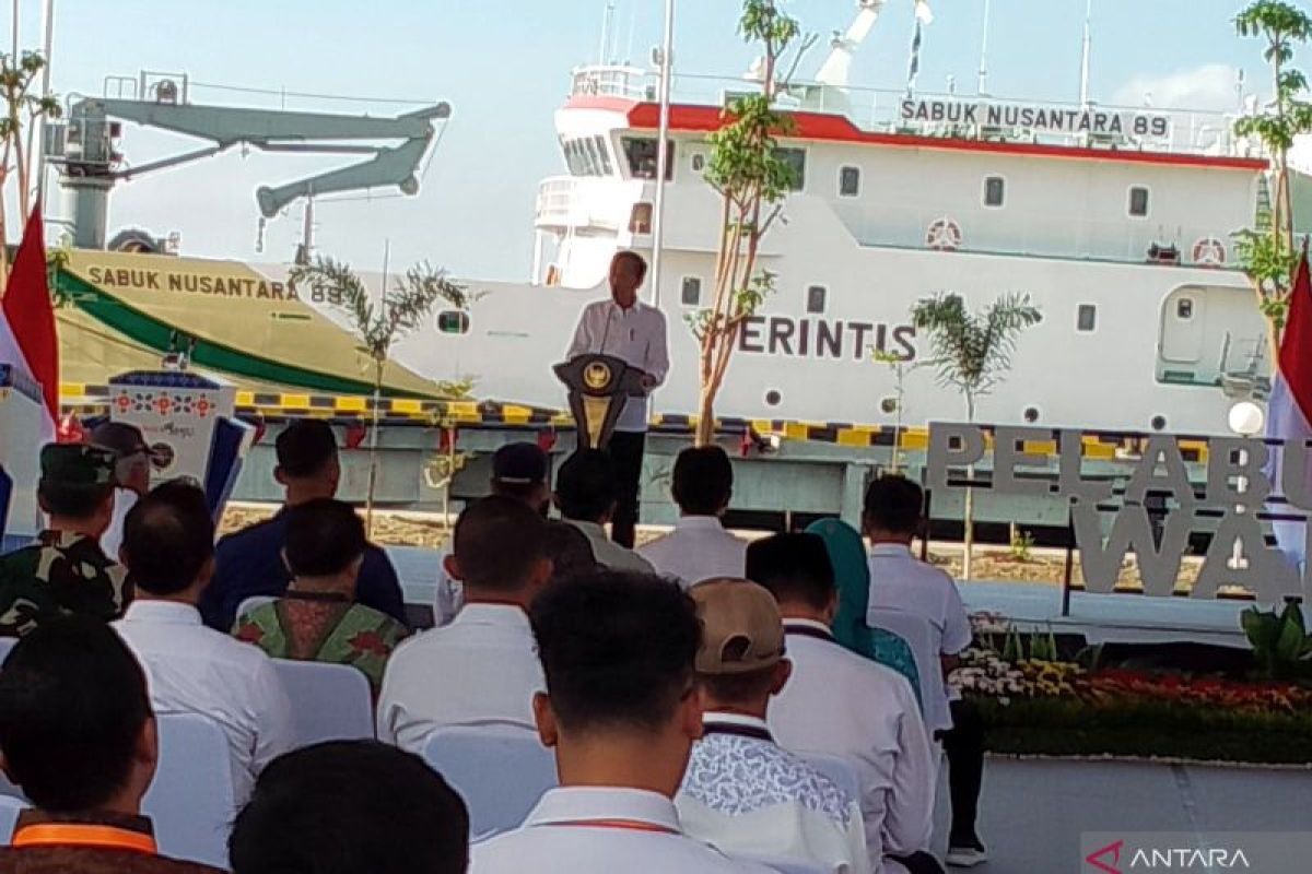 Presiden setujui pengadaan kapal roro untuk Sulteng dukung IKN