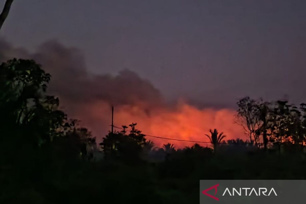 Tak banyak titik panas, lahan terbakar di Meranti capai 115 hektare