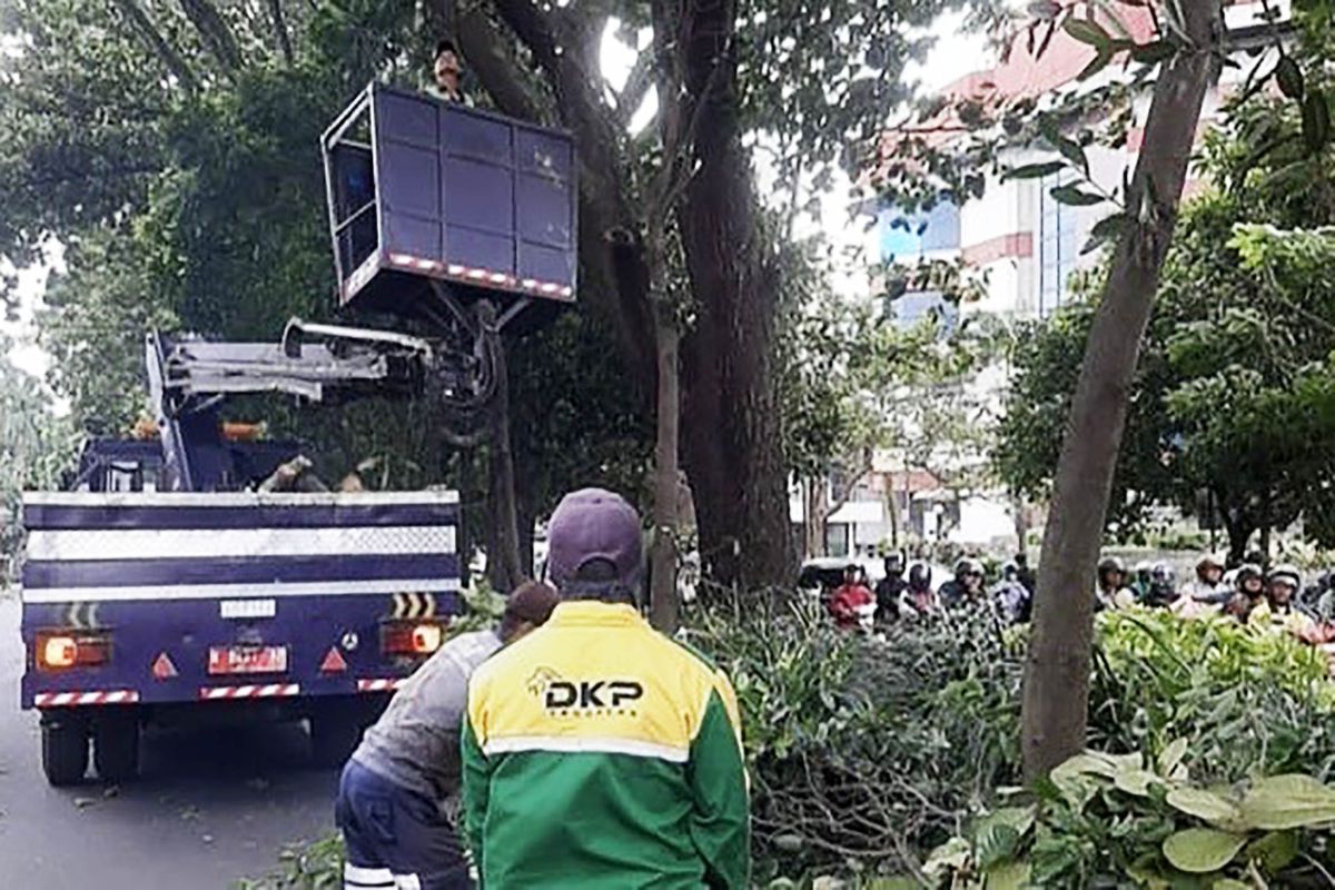 DLH Kota Malang pastikan penanganan sampah optimal saat libur Lebaran