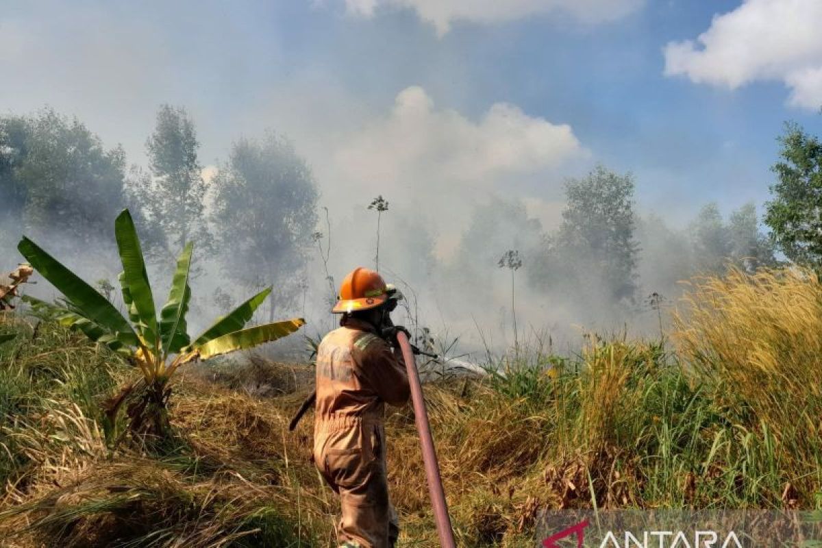 Polres Bintan keluarkan maklumat larangan untuk bakar hutan dan lahan