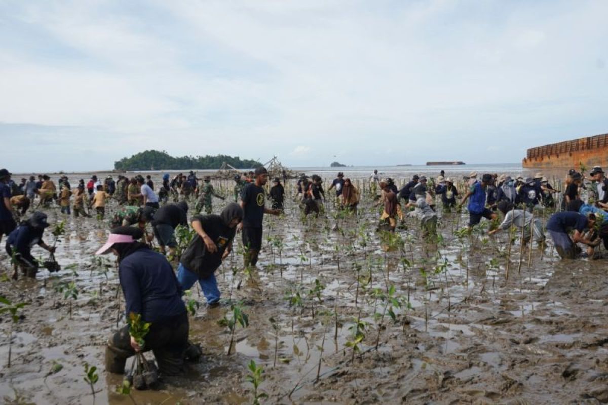IMIP edukasi masyarakat pentingnya rehabilitasi tanaman mangrove