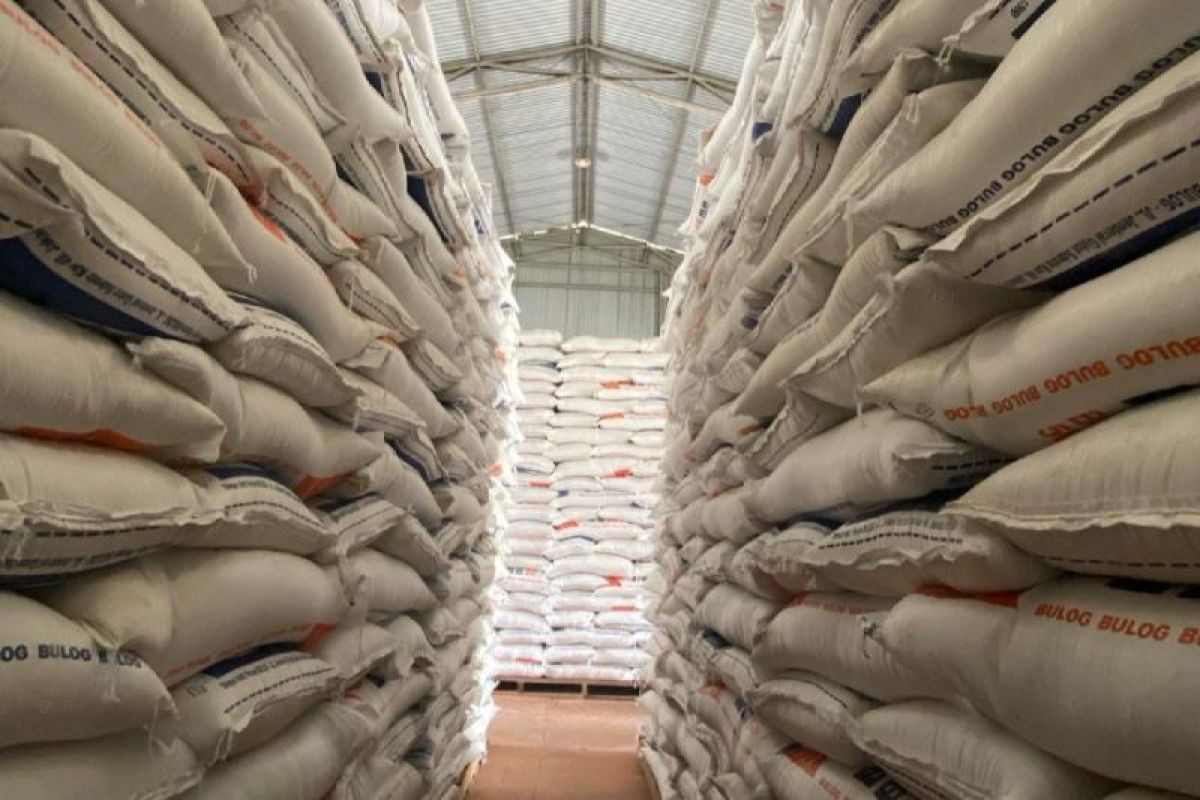 Stok beras di Kapuas Hulu 667,9 ton cukup untuk tiga bulan ke depan