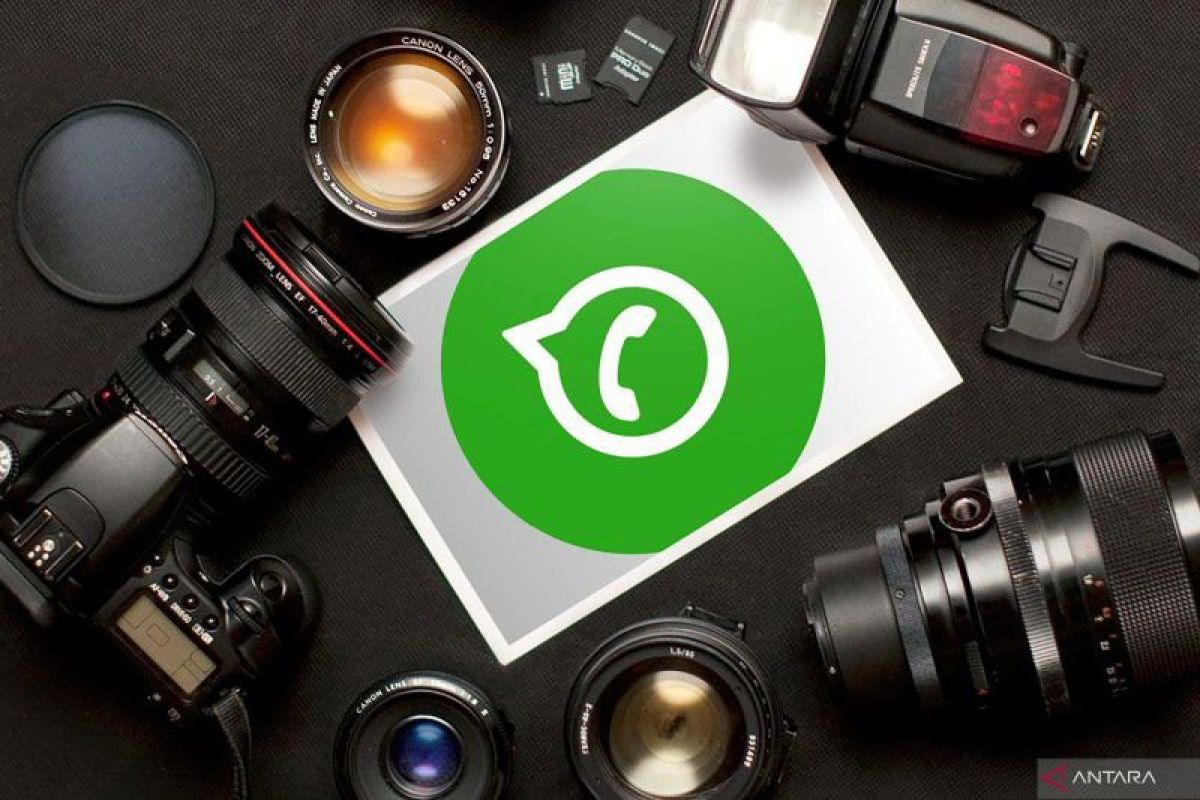 WhatsApp kembangkan fitur mungkinkan pengguna atur kontak "Favorit"