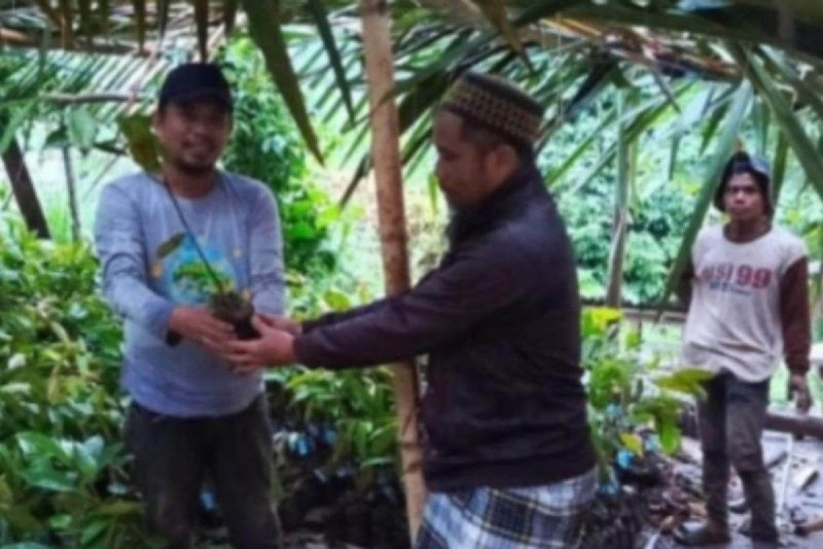 DLH Sulbar tanam 1.836 bibit durian antisipasi bencana alam