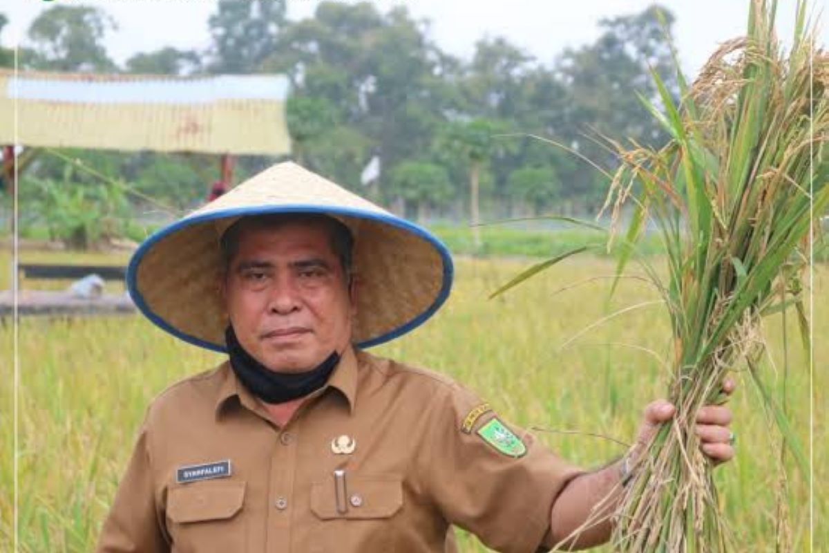 Riau peroleh tambahan alokasi pupuk 9.751 ton pada 2024 