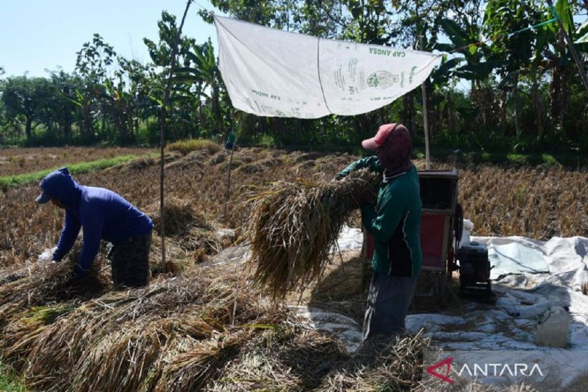 Pemkab Madiun dorong hilirisasi IKM pertanian dongkrak perekonomian