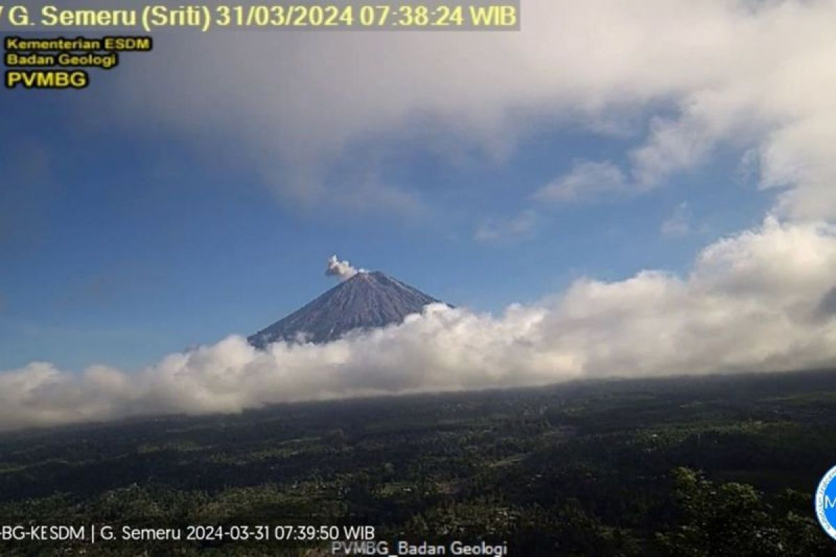 Gunung Semeru erupsi dan lontarkan abu vulkanik setinggi 600 meter