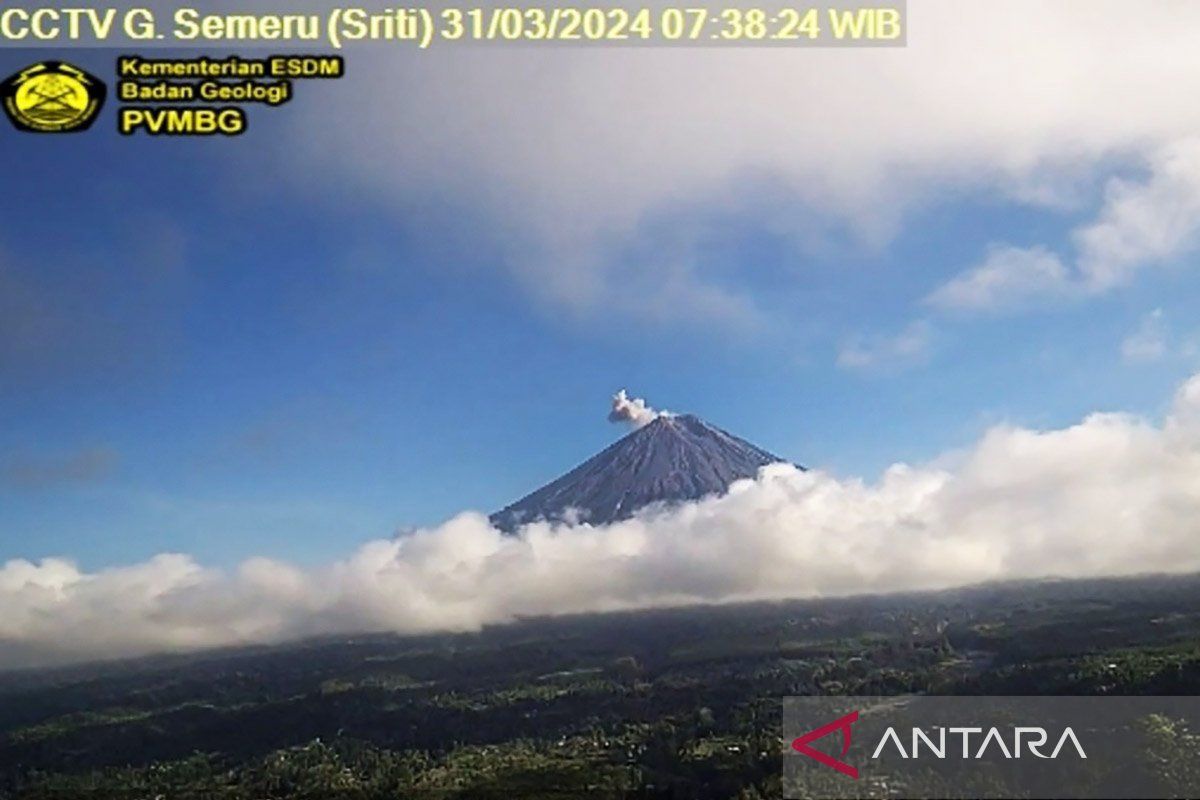 Gunung Semeru erupsi lontarkan abu vulkanik setinggi 600 meter