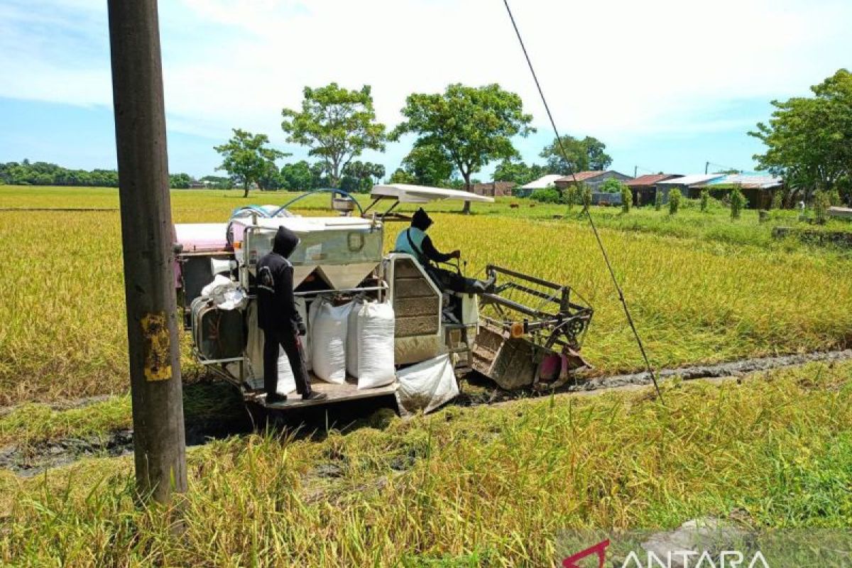 Bulog Sulsel jamin ketersediaan beras jelang Idul Fitri 1445 H