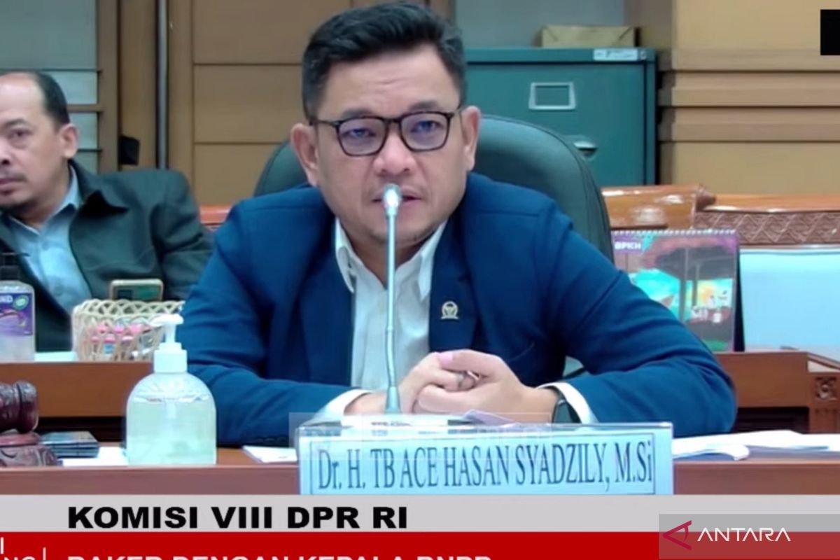 Komisi VIII minta BNPB tak gunakan hujan buatan untuk atasi karhutla