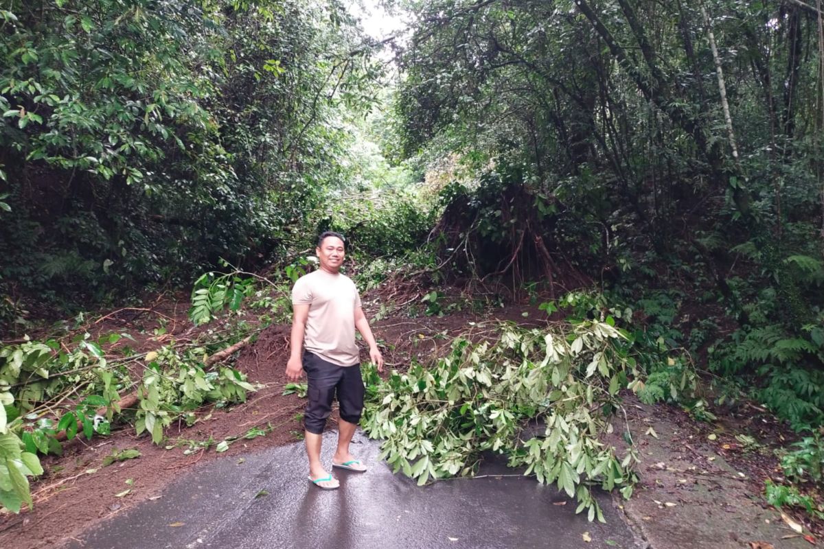 Jalan menuju Sembalun Lombok Timur tertutup longsor