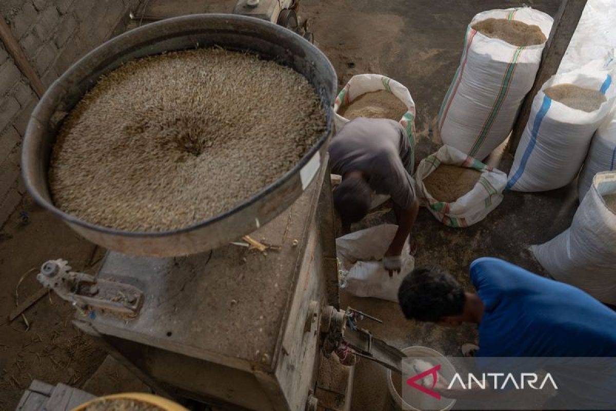 BPS catat harga beras penggilingan turun 0,87 persen selama Maret 2024