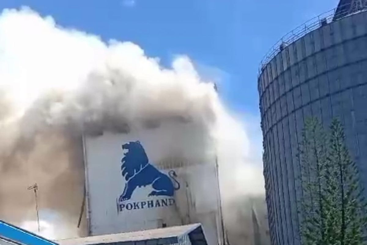 Pabrik pakan ternak PT Pokphand di Makassar terbakar