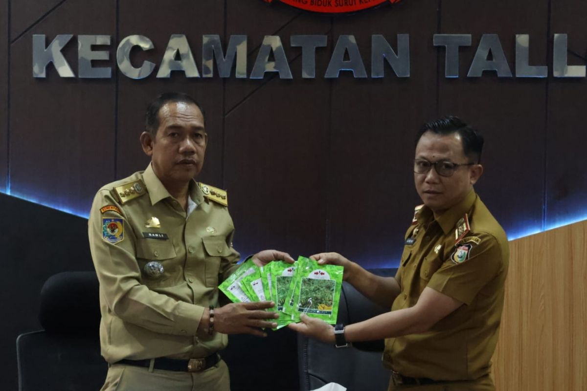 DKP Kota Makassar bagikan puluhan ribu benih cabai di tiga kecamatan
